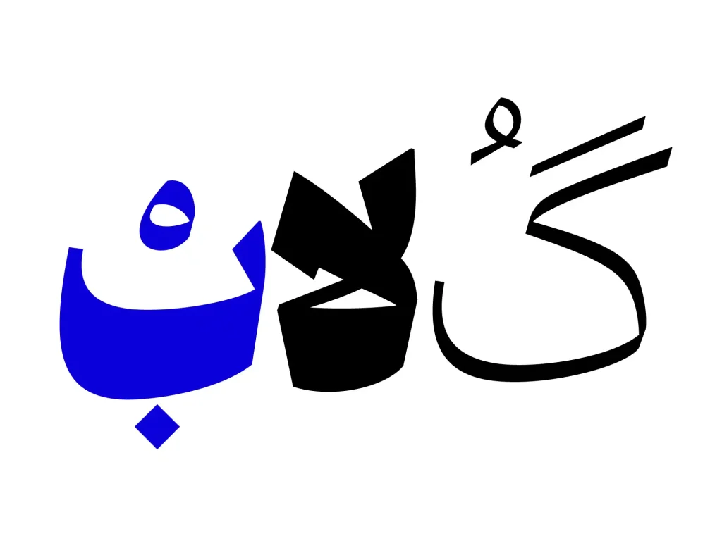 ونوو (3)