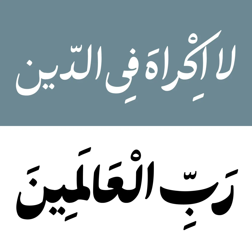 پسته (11)