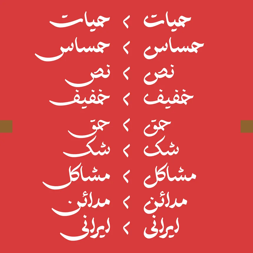 اختیار نو (12)