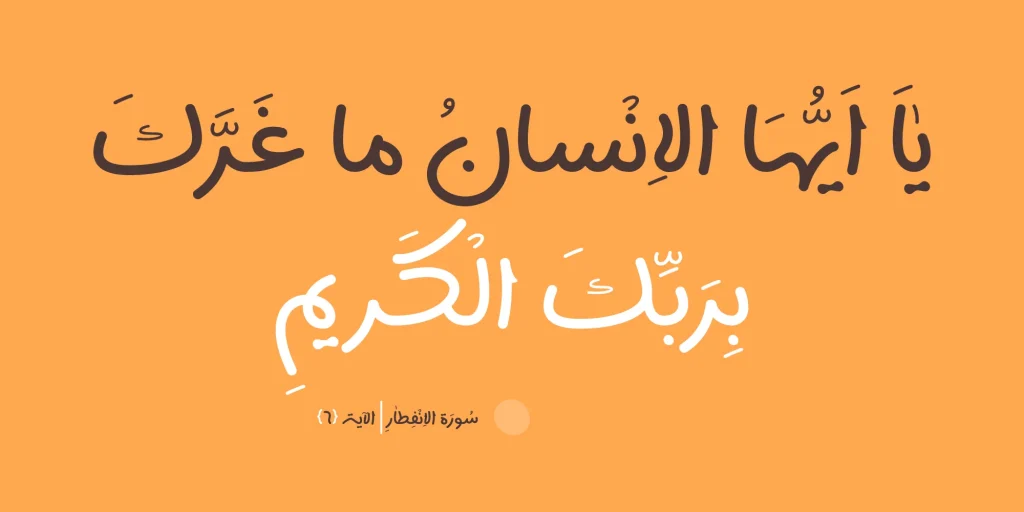 سپیدار (16)