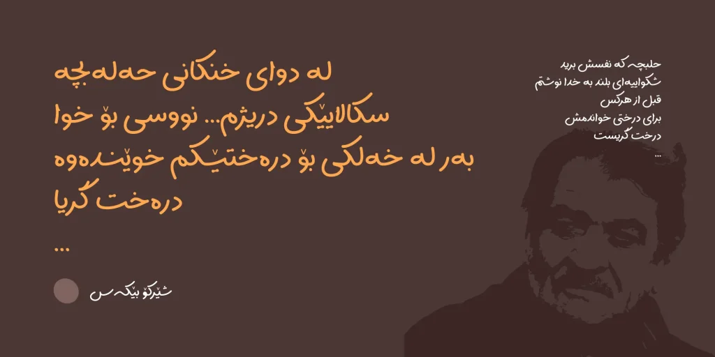 سپیدار (17)