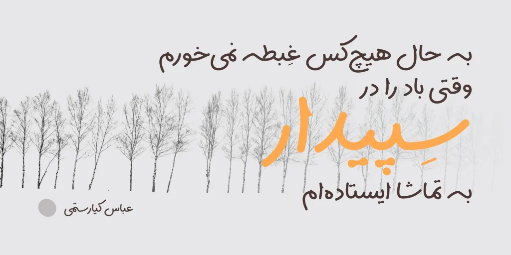 سپیدار (4)