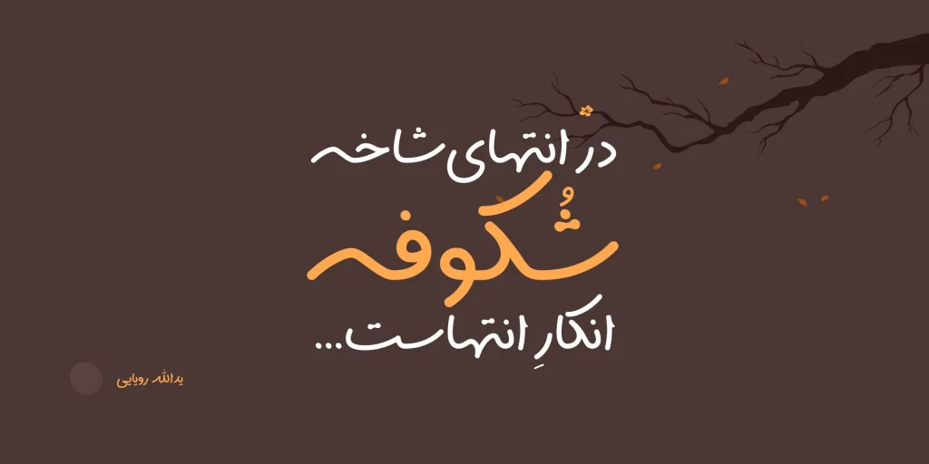 سپیدار (8)
