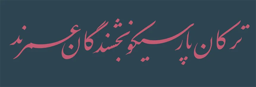 میرزا (16)