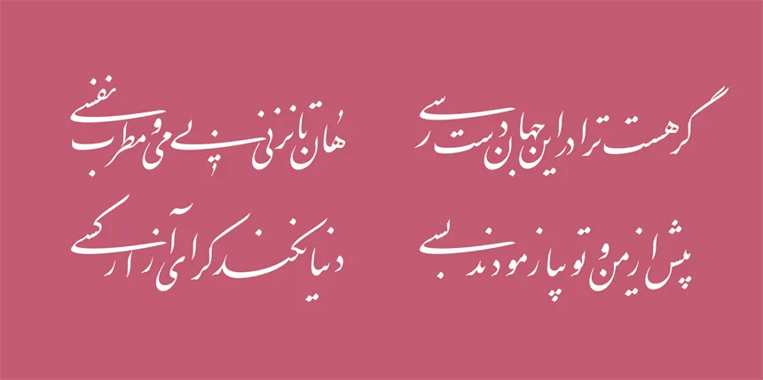 میرزا (17)